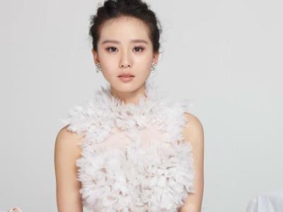 刘诗诗获赔10万详情介绍 黑粉因番位争议而恶意造谣