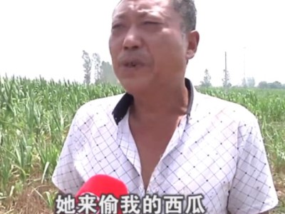 瓜农倒赔偷瓜贼怎么回事 具体详情曝光瓜农无奈求助媒体