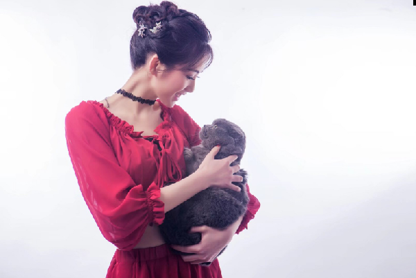 yy清纯美女主播董漫妮唯美写真照4