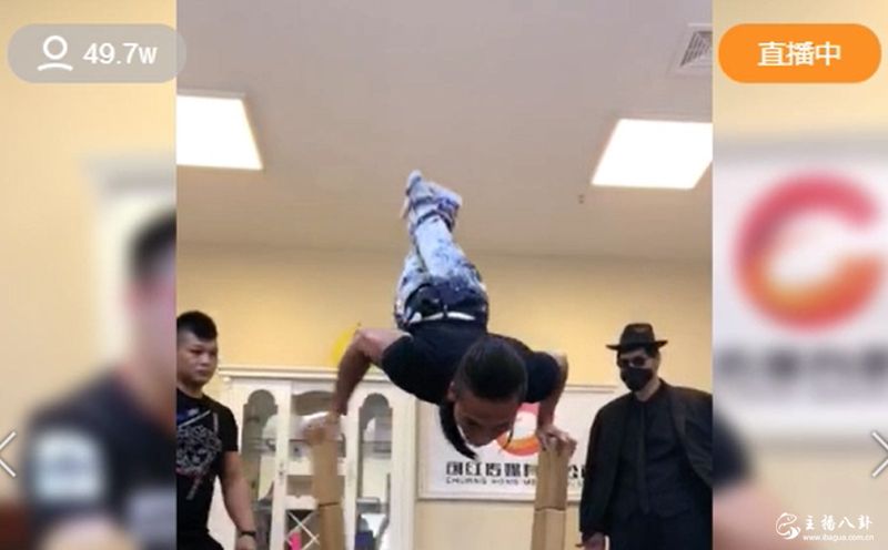 散打家族