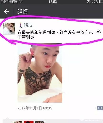 皓晨和呆娃丹恋爱