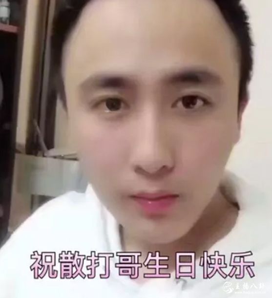 散打哥
