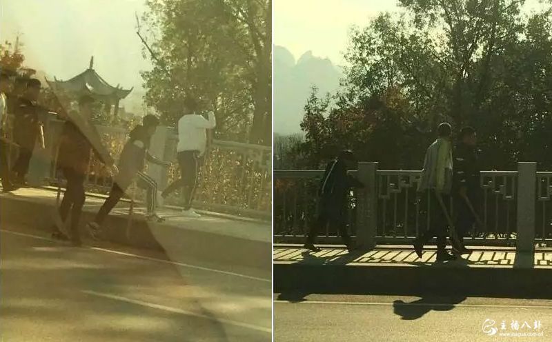 小白龙被打作案人员