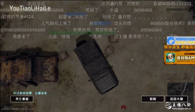 油条吃鸡
