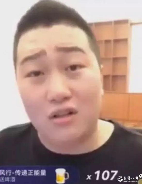 骡子