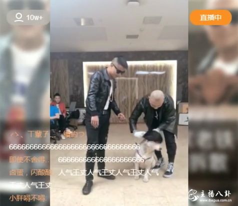 方丈牵哈士奇取名乒乓球！疯狂讽刺牌牌琦！