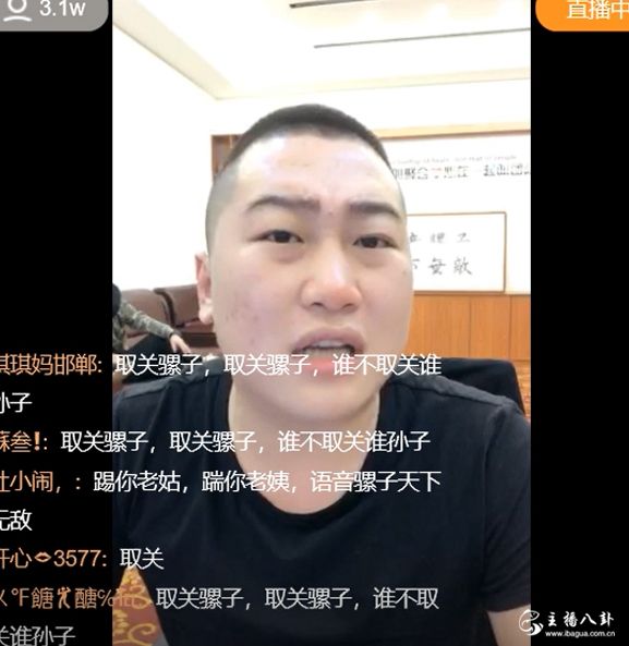 语音骡子