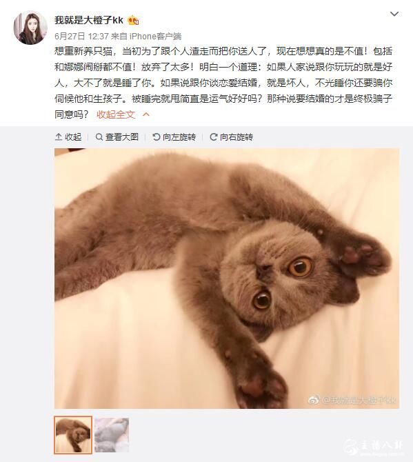 大橙子讽刺小白龙