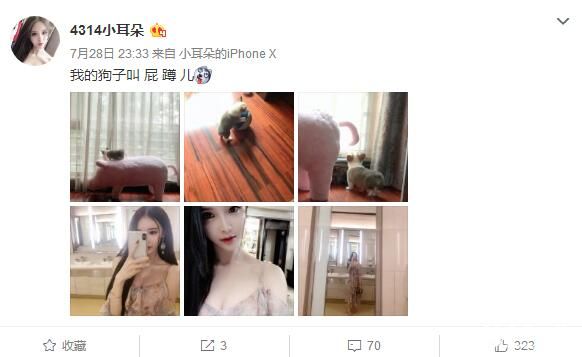 小耳朵