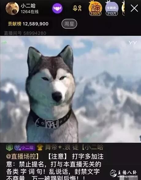 赵本六归来，改头换面签约舞帝再开播！