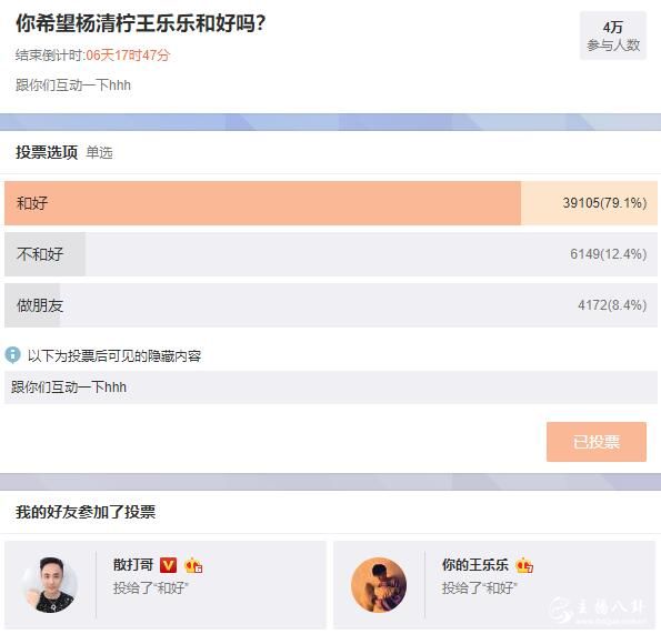 王乐乐微博投票
