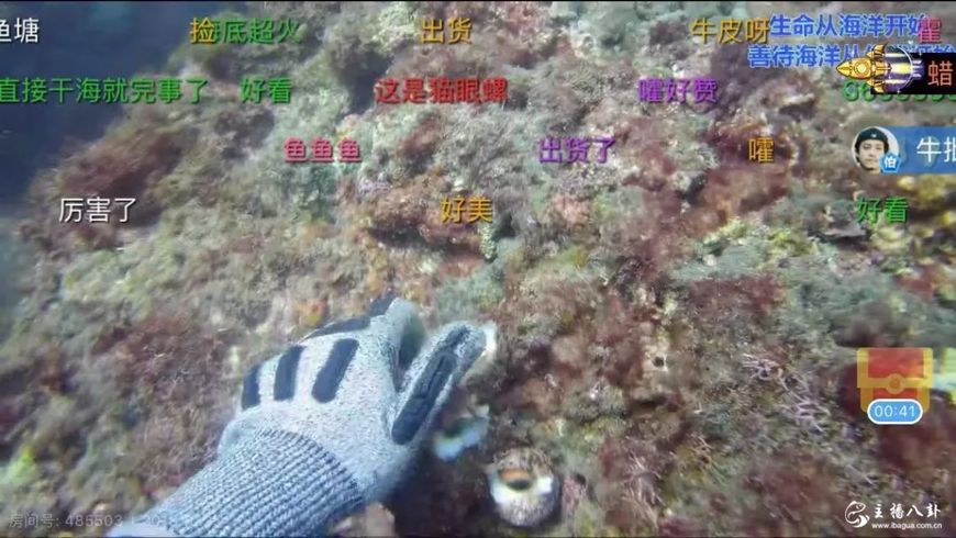 斗鱼彡彡九户外海底直播，带领水友领略海洋的魅力！