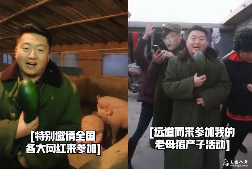 小洲发作品讽刺快手网红活动！