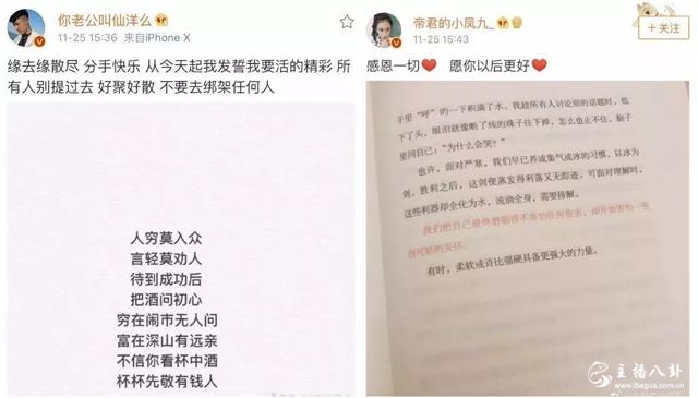 仙洋小仙友