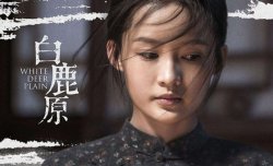 白鹿原为什么停播 隐情在这里
