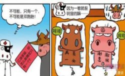 网络语言——西门吹牛