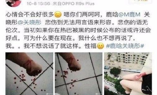 鹿晗粉丝跳楼 