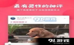 内涵段子的2.0版—聚内涵？