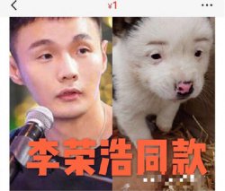 李荣浩同款狗狗售价1元 引无情嘲笑其实他是音乐全才