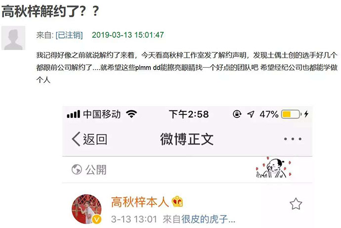 高秋梓解约