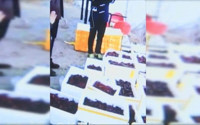 放生小龙虾视频截图