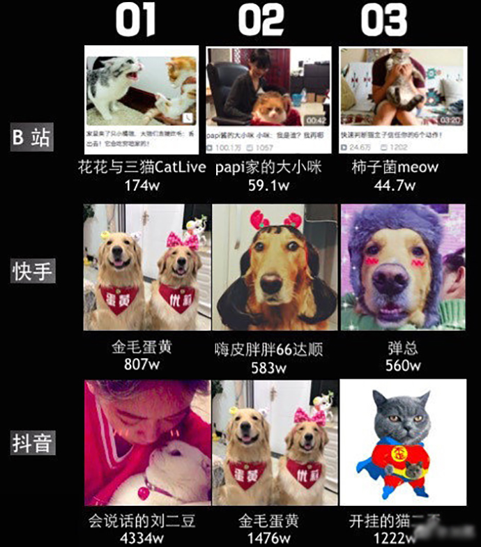 宠物博主排名