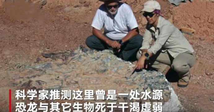 恐龙墓