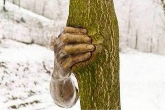 世界上最孤独的手