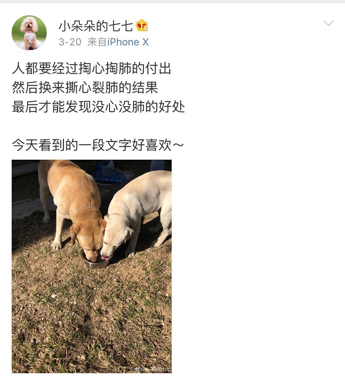 七七微博截图