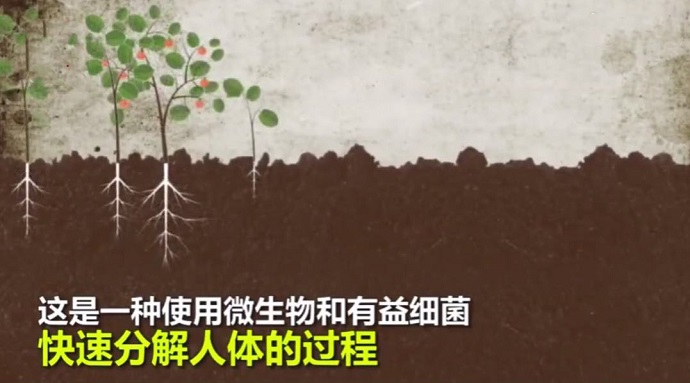 人类遗体堆肥葬动画图解