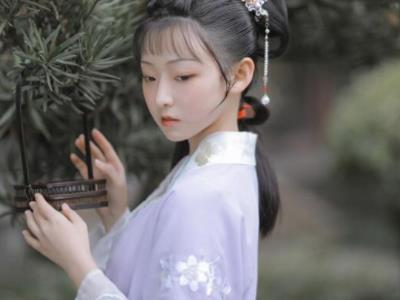 徐婉和宁子世的野史 历史上有没有这个人呢