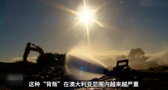 澳大利亚垃圾回收系统崩溃
