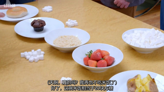 BBC纪录片