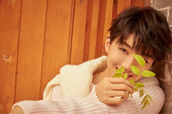 tfboys王俊凯