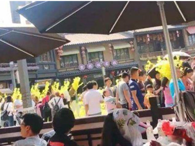 景区展览花遭游客哄抢？原本是景区做好事游客却被无端指责