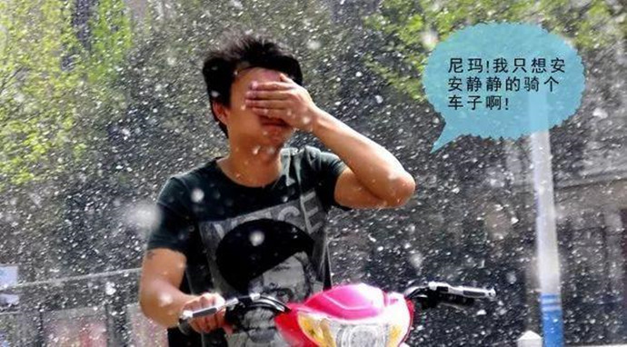 柳絮很烦人
