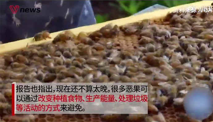 100万物种面临灭绝