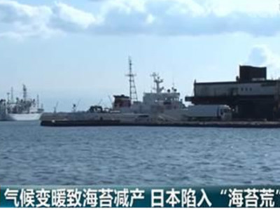 日本陷入海苔荒 饭团专卖店表示压力很大