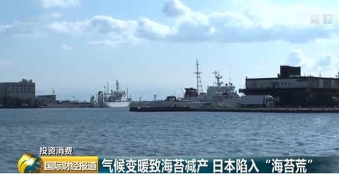 日本陷入海苔荒