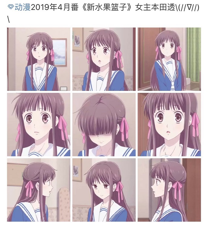 新水果篮子