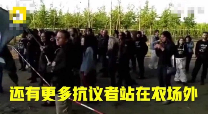 农场外的抗议者