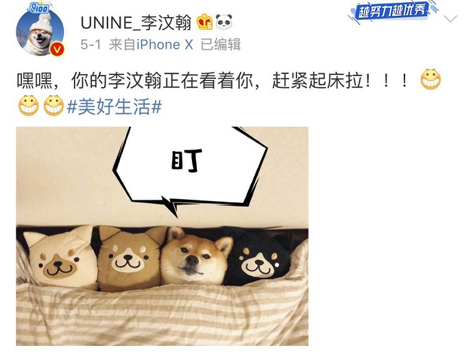 李汶翰关于狗狗的微博