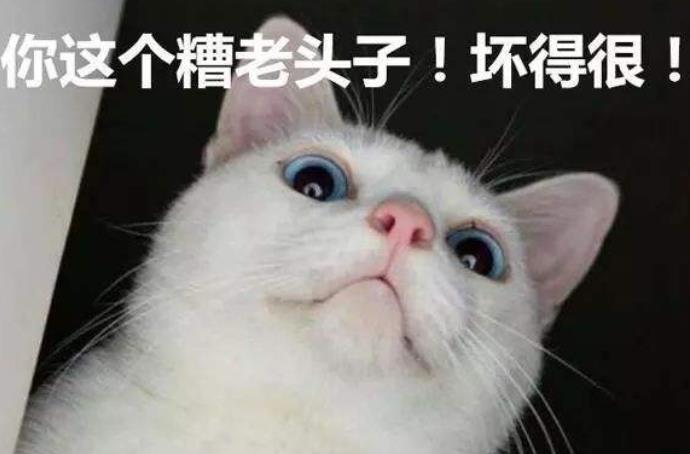 这老头坏的很
