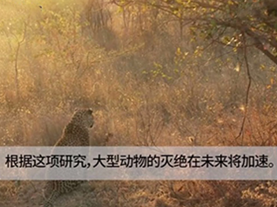 超1000种大型动物将灭绝 未来动物平均体型将减少1/4