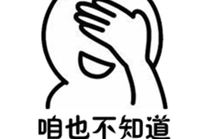 网络新梗