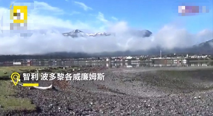 智利波多黎各威廉姆斯