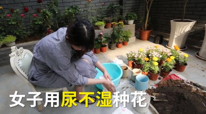 女孩买20箱尿不湿种花