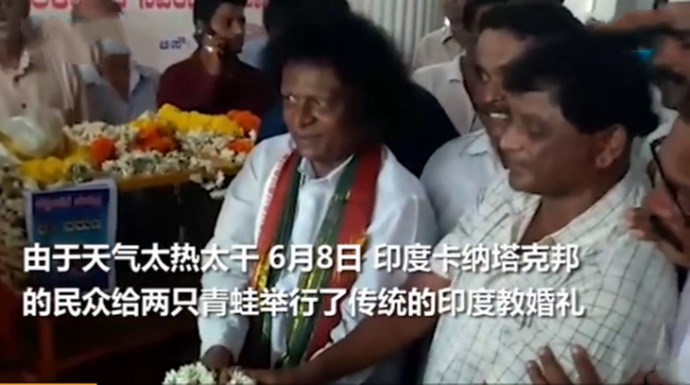 为求雨给两只青蛙办婚礼