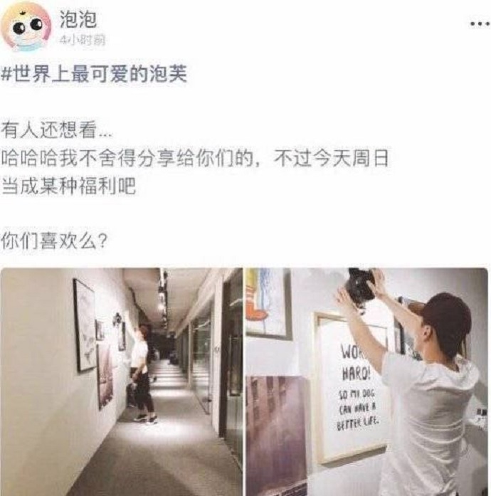 郑爽晒和男朋友的日常