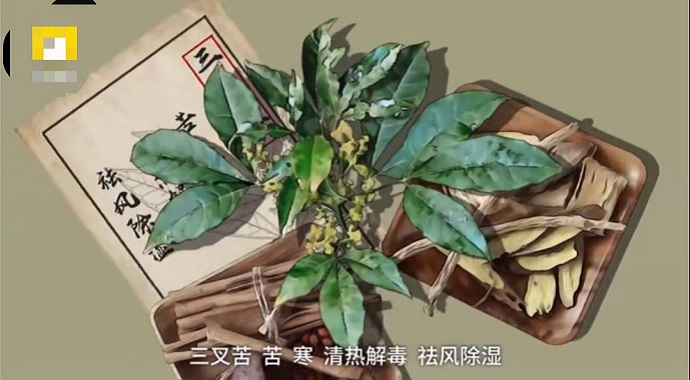中药示意图